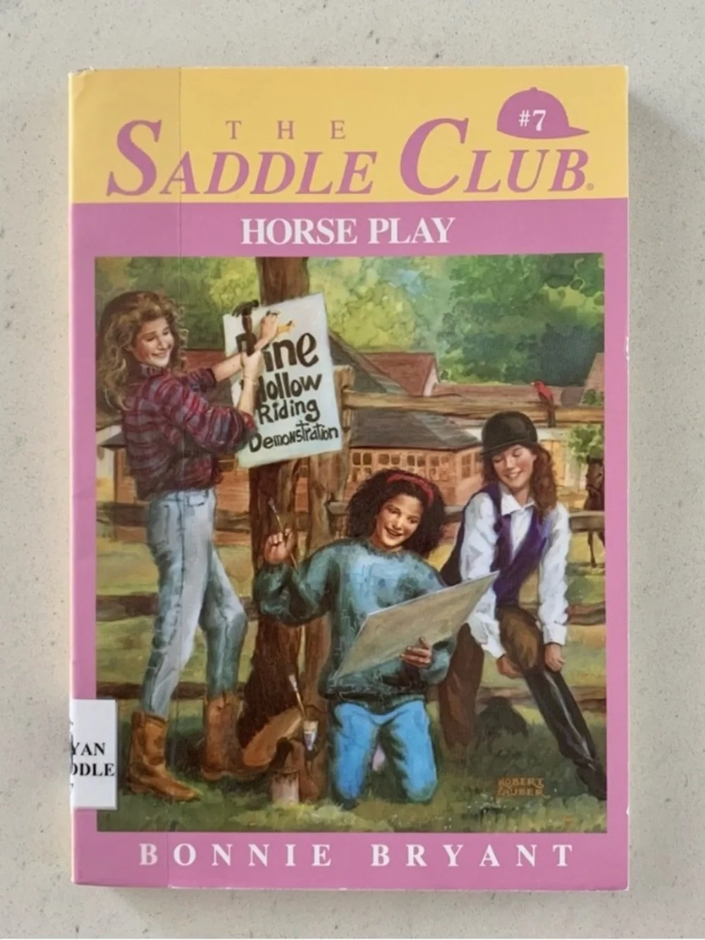 Vintage 90s Book Lot (11) - Sweet Valley, Klutz, Boxcar Children, Horrible Harry